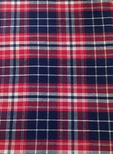 Blue Check Flannel