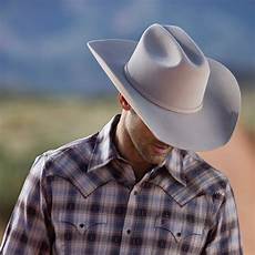 Cowboy In Flannel