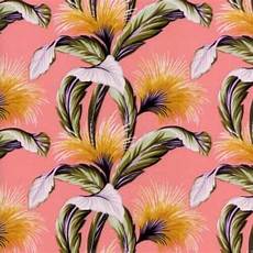 Duck Canvas Fabric