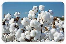 Fabric Production