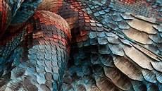 Fabric Production