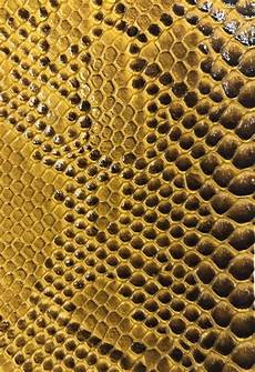 Fabrics for Upholstery