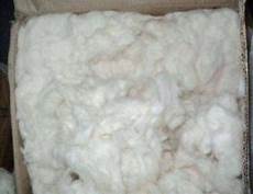 Fiber  Fabrics