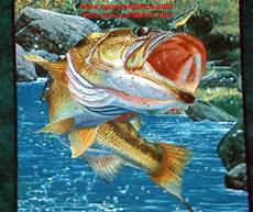 Fishing Flannel Fabric