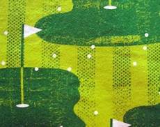 Golf Flannel Fabric