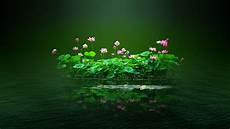 Green And Pink Flannel