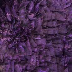 Knit Lining Fabrics