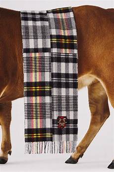 Knitted Wear Fabrics