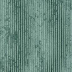 Light Canvas Fabric