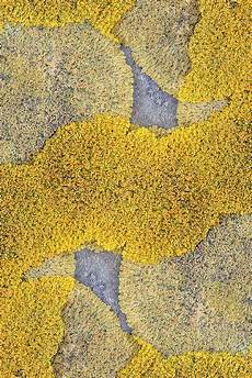 Organic Fabric