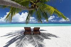 Plain Deck Chair Canvas