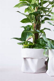 Raw Canvas Fabric
