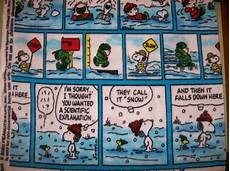 Snoopy Flannel Fabric
