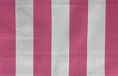 Striped Canvas Fabric