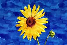 Sunflower Canvas Fabric