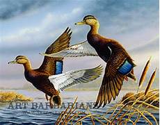White Duck Canvas
